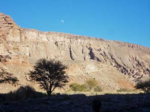 TREKKING NEL DESERTO DI ATACAMA 2015